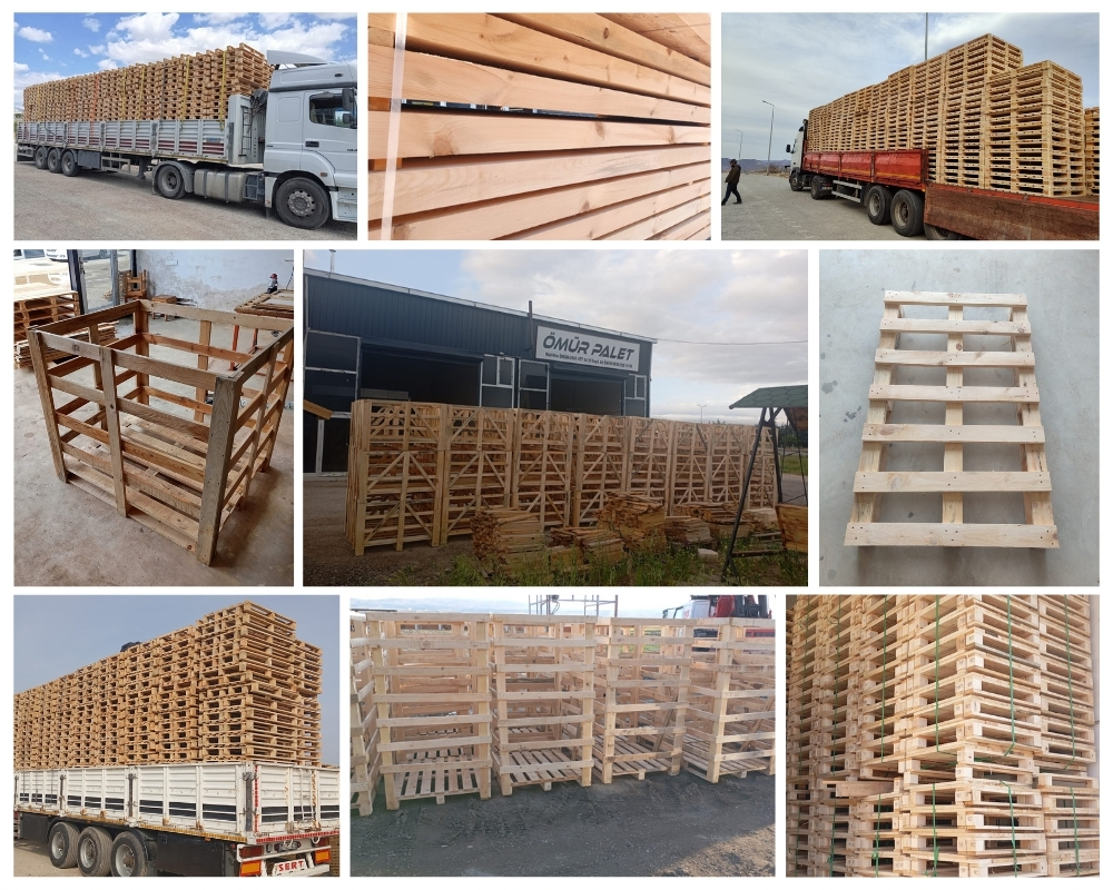 Pevensey Wooden Pallets, Buy Wooden Pallets Wholesale